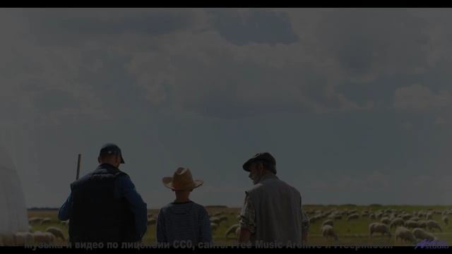 Клип, созданный искусственной нейросетью - новое слово в искусстве! - Space Fun -- Crowander -- Upli