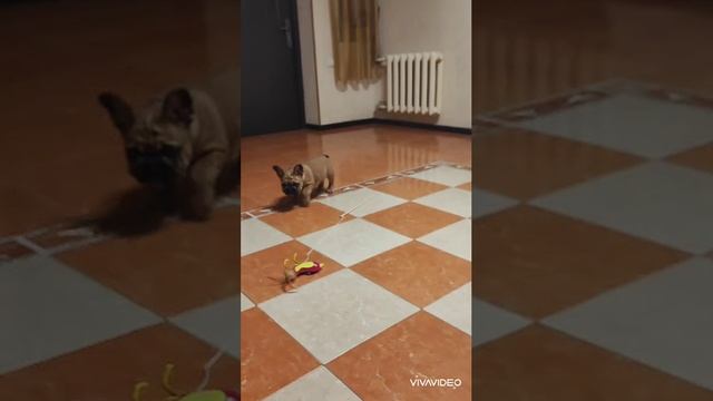 1000446985.mp4
