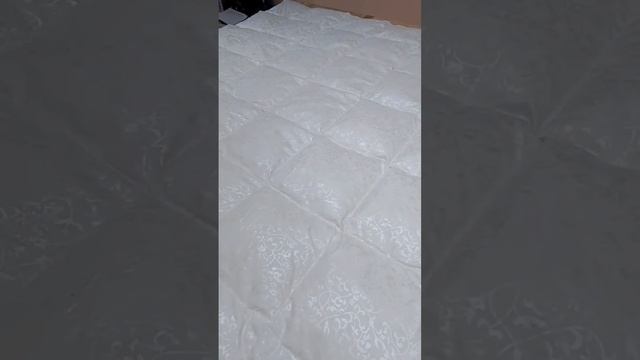 1000316439.mp4