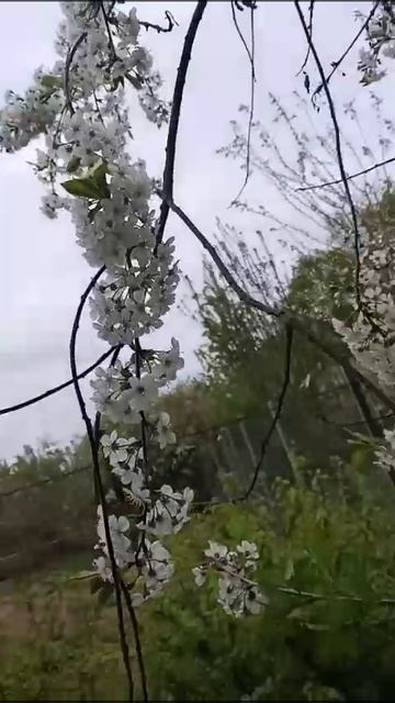 позитивчик🎼🌱