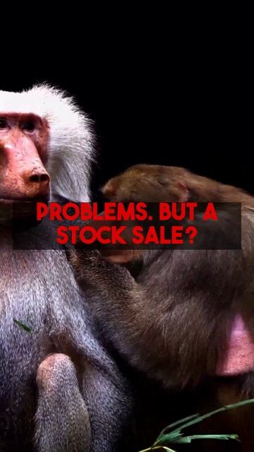 Buying a business? Learn the crucial difference: Asset vs. Stock sale. Understand how risks and...