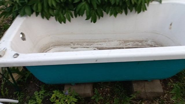 Не верю своим глазам/Разобрали старые теплицы/Везде мусор.