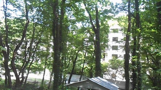 туапсе пенсионат весна