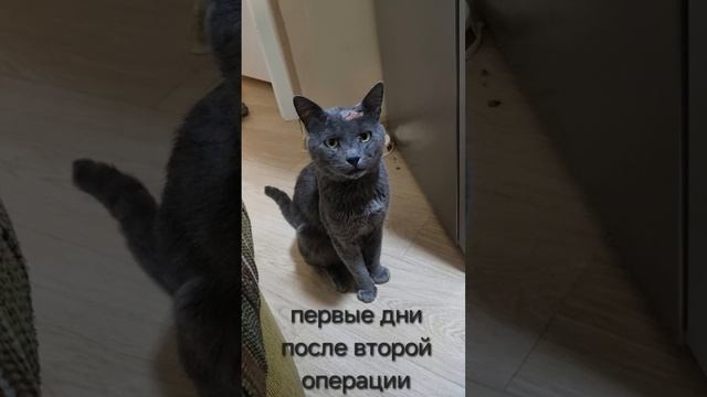 Атос, фильм 1 (Спасение)
