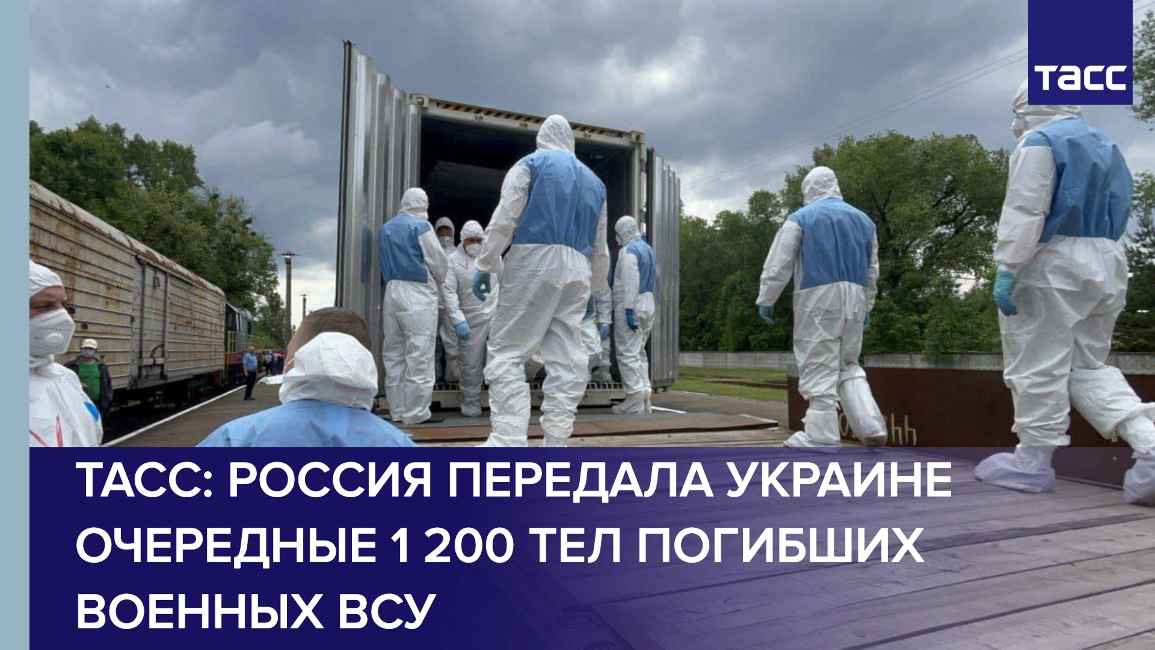 Россия передала Украине очередные 1 200 тел погибших военных ВСУ