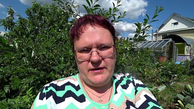 Грибковые заболевания вишни. Что делать?