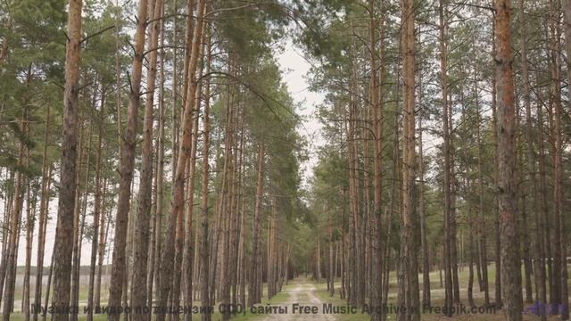 Когда пейзажи говорят, а музыка отвечает... - Lonesome Without Your Fight -- Derek Clegg -- Random C