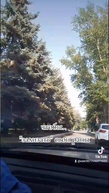 #поверитьвчудововремяшторма
