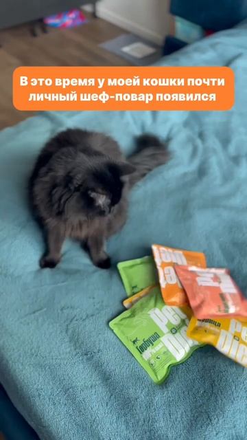 Pet Diet - натуральное питание для кошек