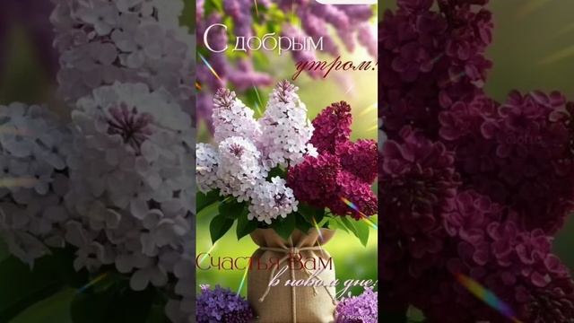Доброе утро 💖Чудесного воскресного дня 🌝💝