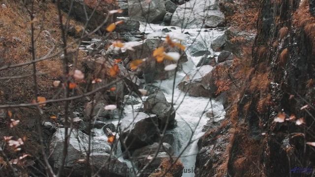 Этот трек ВЗОРВАЛ интернет - смотри ДО КОНЦА! - Thunder 2 -- Kirk Osamayo -- Season Two (YELLOW)