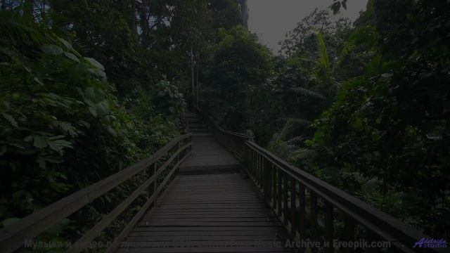 Музыка касается души мягче любого прикосновения - A Mile or more in a Foreign Clime -- 10 Echo -- Un