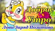 Доброе Утро! Отличного Дня! Чтобы День прошел на Ура! Зарядись Позитивом с Утра😄 Позитив для Вас!