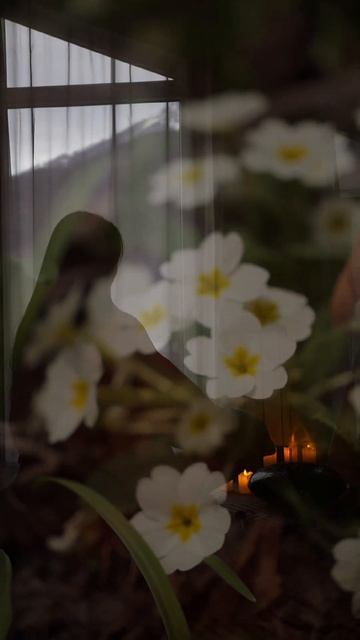 Связанное дыхание: портал в другие состояния…