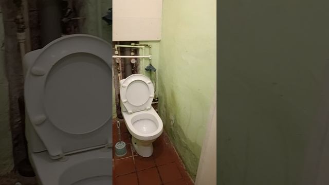 1000004809.mp4
