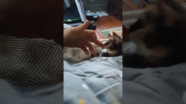 1000083228.mp4