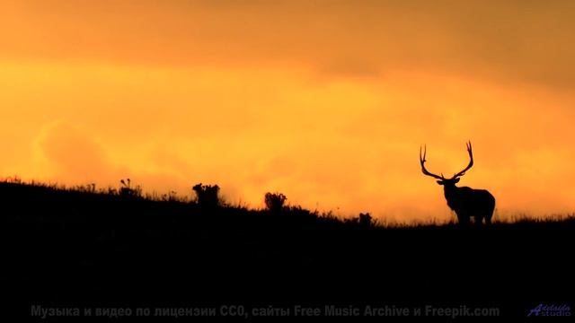 Под эту музыку природа дышит по-новому - And never come back -- Soft and Furious -- You know where t
