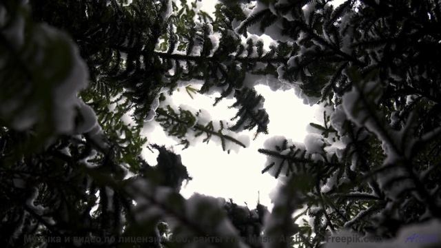 Эта музыка вдохнёт жизнь в каждый пейзаж - Western Vestibules -- Blue Sky Moon -- I Used to Build Ca
