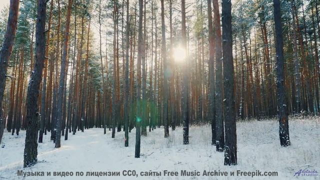 Пейзажи двигаются в ритме чистой свободы - Oopsy Daisy -- Forget the Whale -- You. Me. Talk. Now.