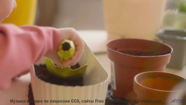 Голова кружится, когда виды и музыка сплетаются - Little Lily Swing -- Tri-Tachyon -- The Kleptotoni