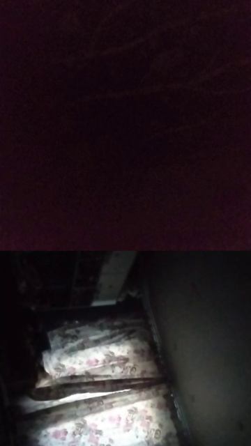 VID_20250614_233933.mp4