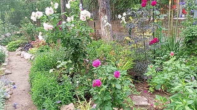 1Природа Крыма 🌲🌳🌴😍🌹🌹🌹