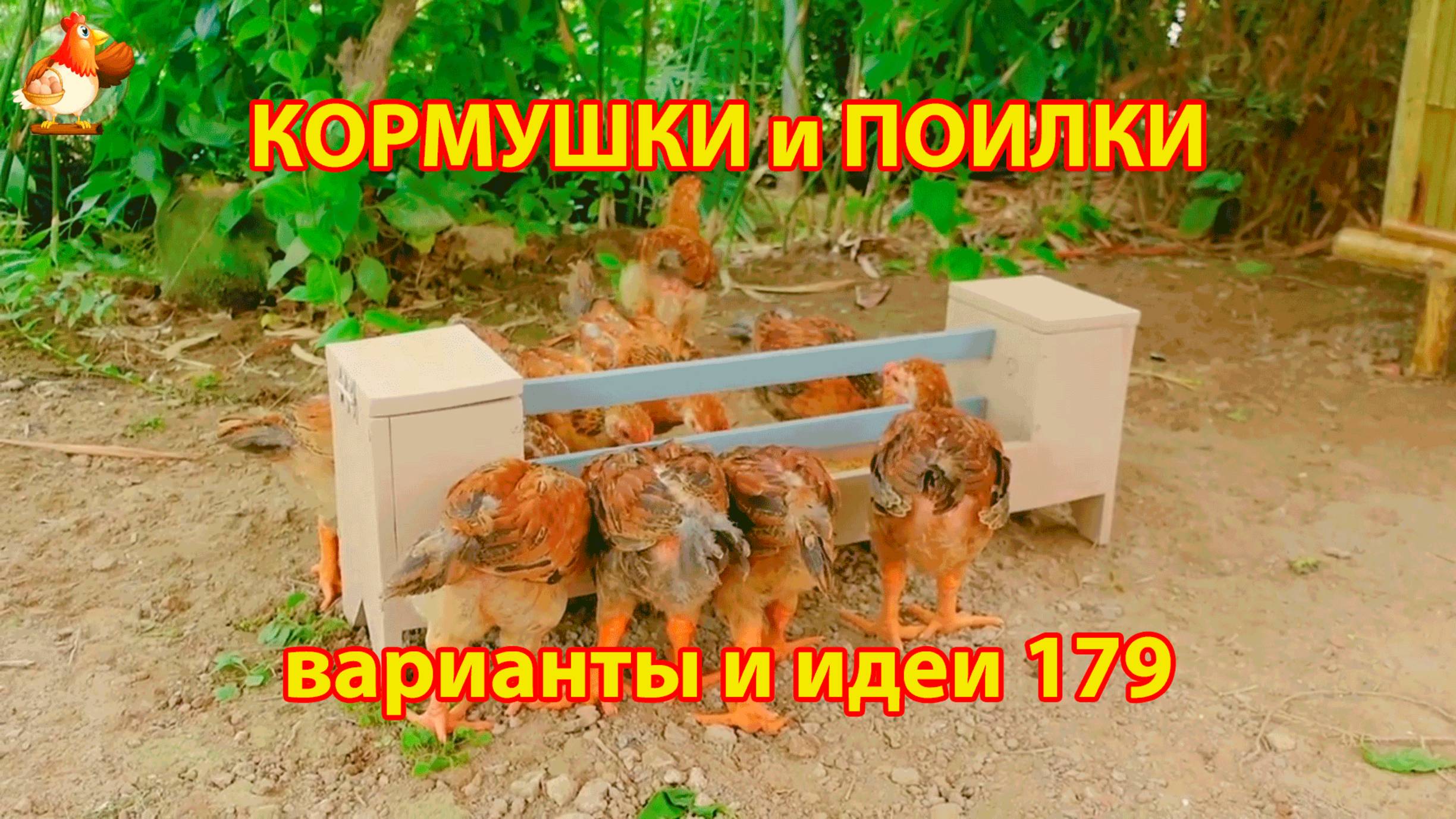 Кормушки и поилки для кур своими руками (179) 🪚✂️ Пошаговая инструкция как сделать 🐔 🐓❣️