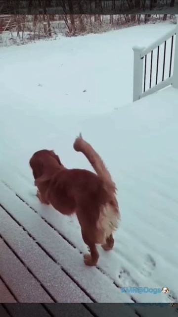 Мягко, как на перине😁