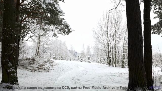 Видео, которое нельзя смотреть без нейроимплантов - или можно - Typewriter -- Mise Darling -- Rebel