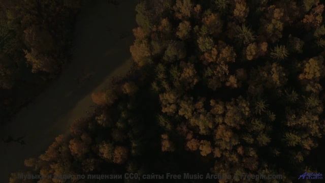 Природа через тепловизор будущего - новый взгляд на мир! - Hardwave -- Soft and Furious -- Fluid
