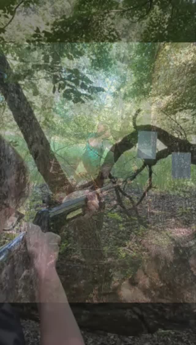 Пикник и тир. Нашли классное место.