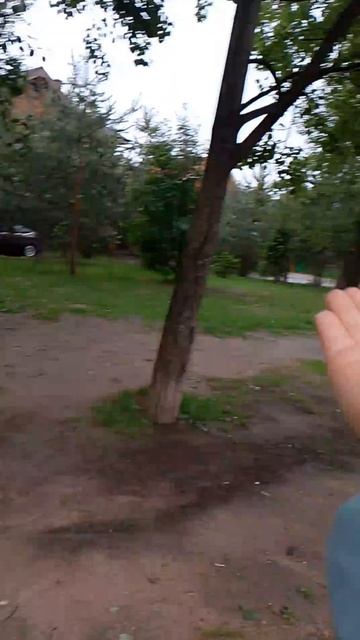 они везде