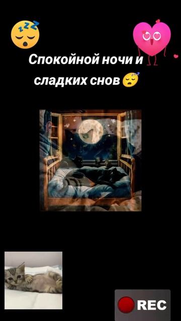 Спокойной ночи сладких снов