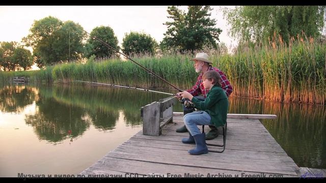 Трек, который изменит взгляд на природу - Man Outta Town -- Forget the Whale -- Unnamed album