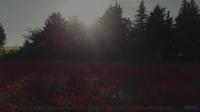 Эти ноты - поцелуй солнца! - Building Shapes Out Of Light Beams -- Kirk Osamayo -- Season Two (BLUE)