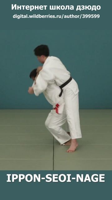 Интернет школа дзюдо. IPPON-SEOI-NAGE. Учикоми.