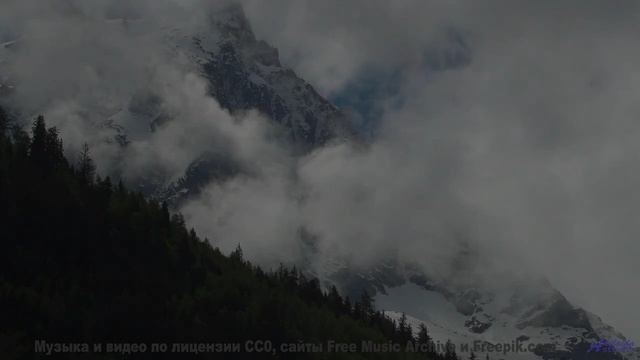 Этот клип заставит забыть обо всём на свете - Two Boys And A Girl -- Podington Bear -- Meet Podingto