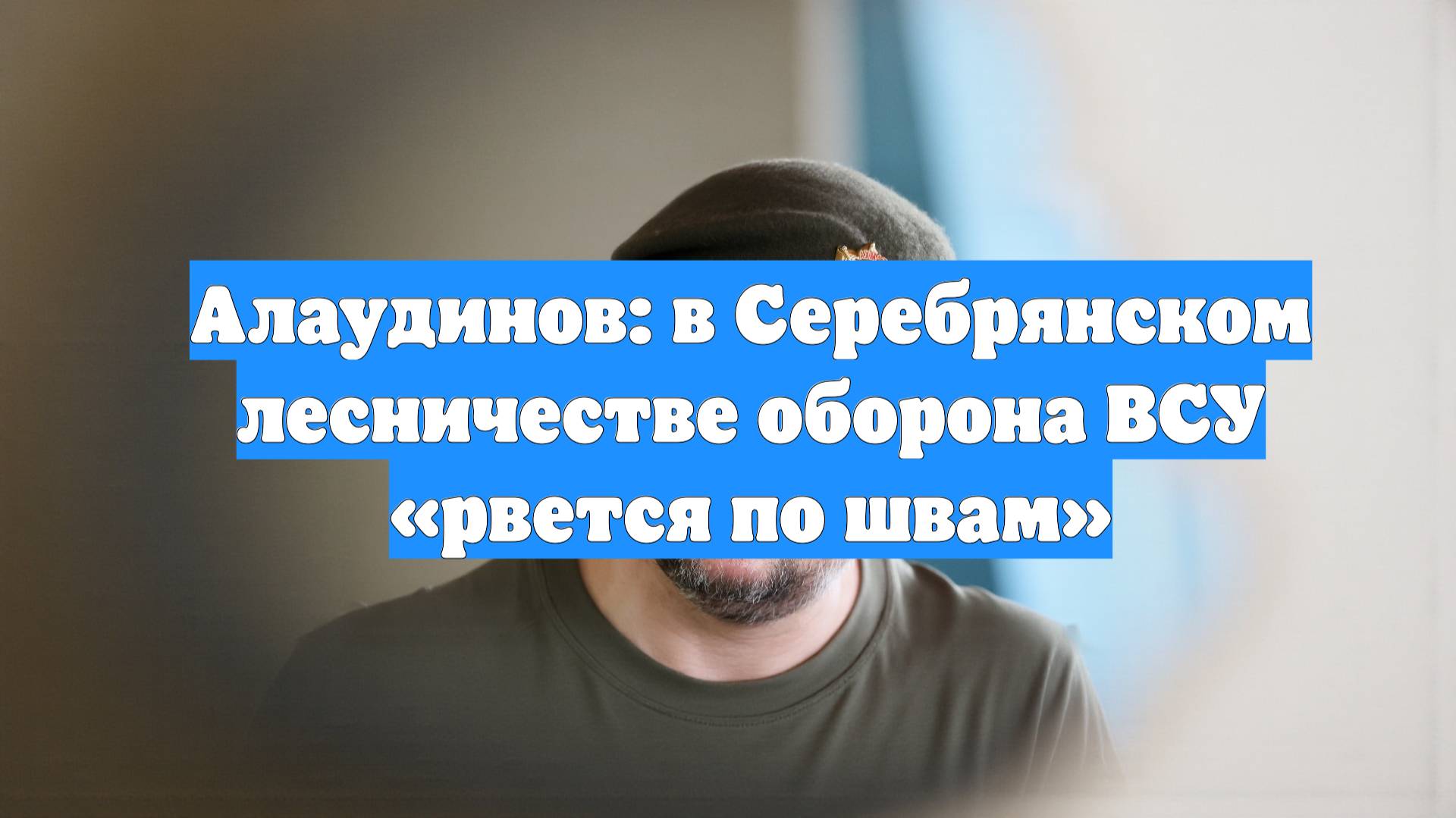 Алаудинов: в Серебрянском лесничестве оборона ВСУ «рвется по швам»