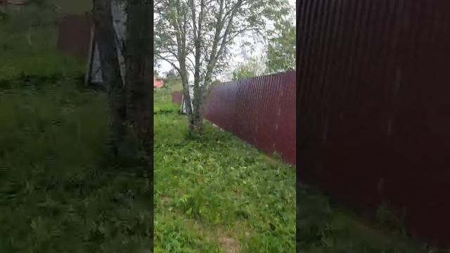 1000052884.mp4