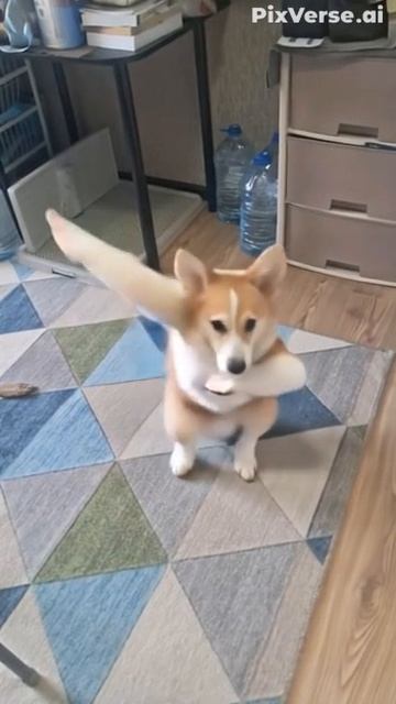 танцующий найль