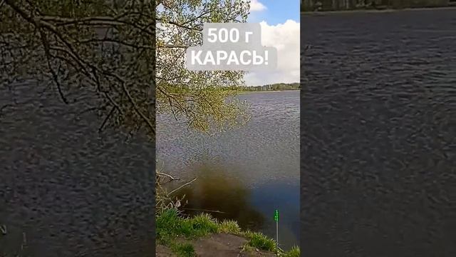 первая вылазка в этом году #рыбалка #рыбалканаозере #дальнийзаброс #карась #карасьнаудочку