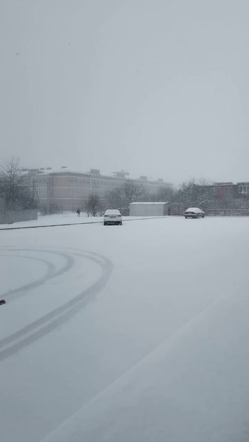 Заметает зима..