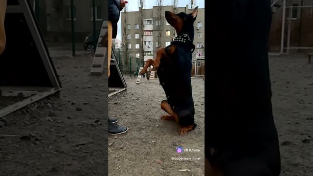 тренируемся