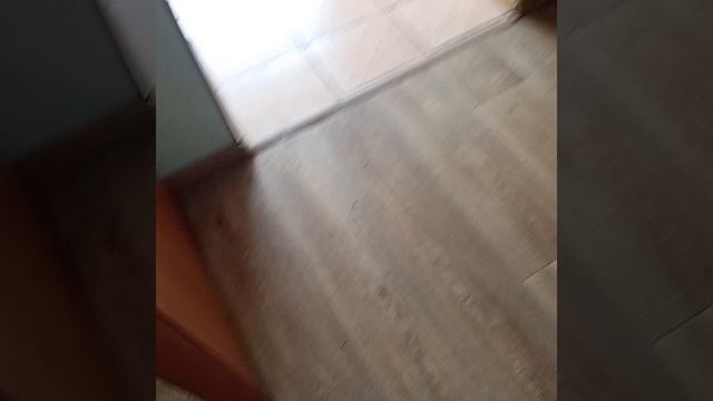 опасный анонимус
