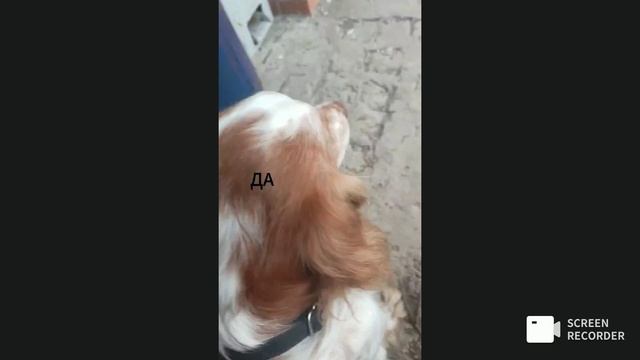 я вернулааась