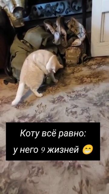 VID_20250615_180829_593