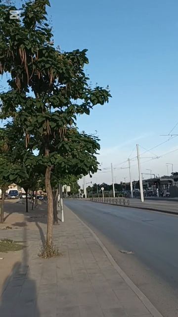 Setif. Algeria #سطيف #travel #algerie #setif