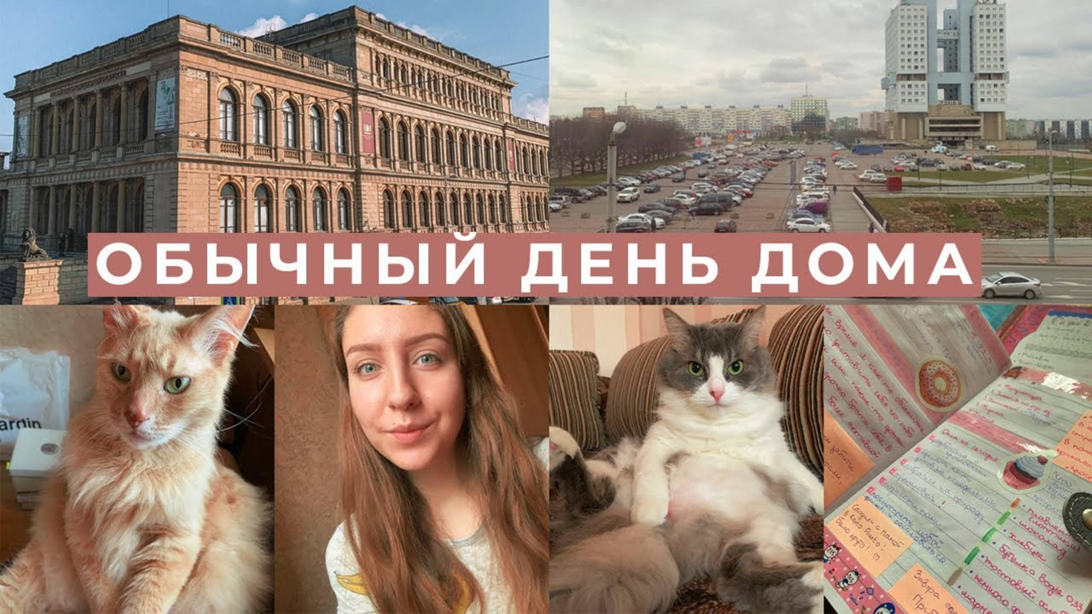 АРХИВ 2020 | МОЙ ОБЫЧНЫЙ ДЕНЬ ДОМА l КАЛИНИНГРАД
