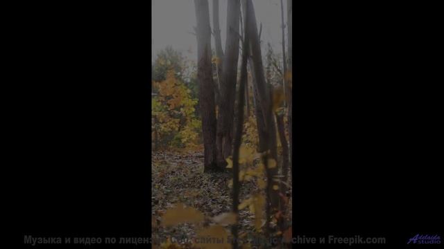 Услышав этот трек, вы влюбитесь в мир заново - I Kno -- Vincent Augustus -- Nightlife for Morning Pe
