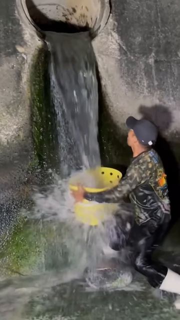 Catch fish under the tunnel #shorts